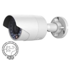 Hikvision DS-2CD2020F-IW (4мм)