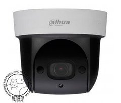 2Мп Starlight IP PTZ видеокамера Dahua DH-SD29204UE-GN
